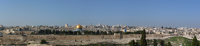 "Domandate pace per Gerusalemme: sia pace a coloro  che ti amano," Sal. 122,6