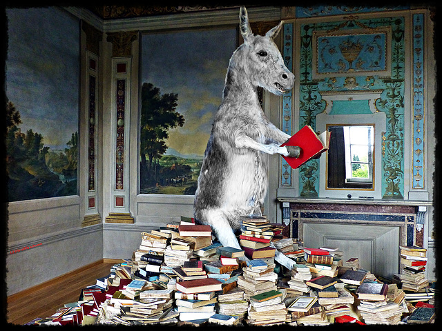 LIBRI [2] ... Ein Esel, der Bücher lesen kann, ist darum nicht gelehrt ...  (PiP)