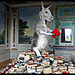LIBRI [2] ... Ein Esel, der Bücher lesen kann, ist darum nicht gelehrt ...  (PiP)