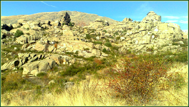 Sierra de La Cabrera, granite.