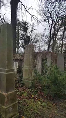 The Jewish Cemetery in Wroclaw
