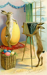 Easter Bunny Photography