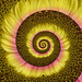 Sunflower helix ✿