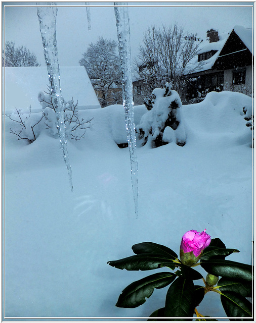 Winter-Garten...  ©UdoSm