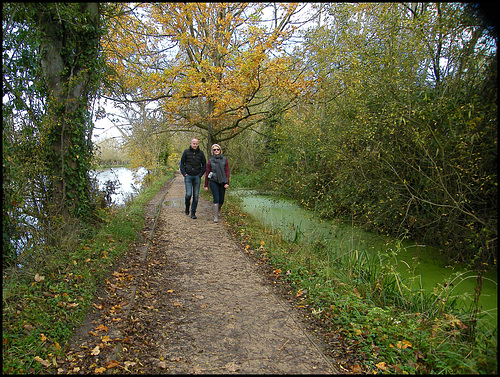 Thames Path by a green stream
