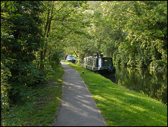 spring green canal path
