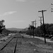 Disused Railroad Track near Hemet (1M) - 12 November 2015