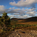 Coire Cas, Cairngorm Mountain