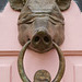 pig's head knocker, 23 baxendale st, shoreditch, london (2)