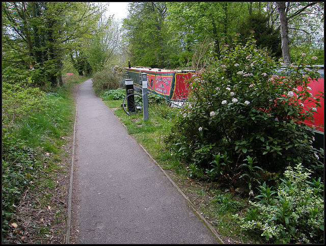 canal path in April