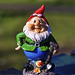 Wee Gnome