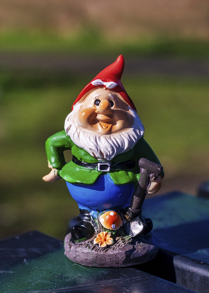 Wee Gnome