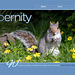 ipernity homepage with #1594