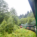 Bieszczadzka Forest Railway