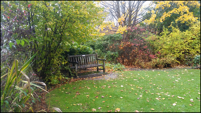 seat in the Alice Garden