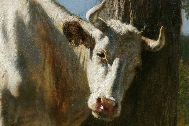 "Vache qui se gratte" (détail) (Constant Troyon - 1859)