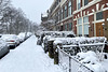 Snow in the garden along the Zoeterwoudsesingel