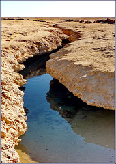 Sharm el Sheikh : Ras Mohammed - questo è il canale naturale di acqua marina che alimenta : ' The enchanted lake' (1777)