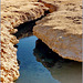 Sharm el Sheikh : Ras Mohammed - questo è il canale naturale di acqua marina che alimenta : ' The enchanted lake' (1777)