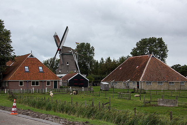 20140909 4936VRAw [NL] Windmühle, Terschelling