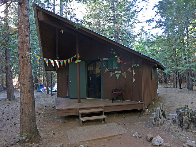 Cabin 38 (2954)