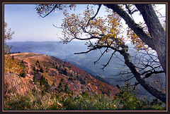 Schwarzwald, Blick vom Feldberg