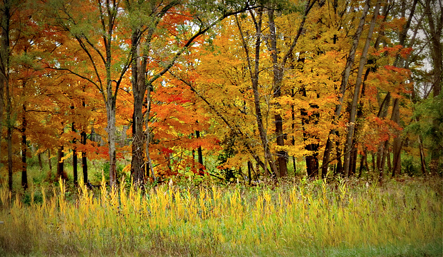 October in Michigan