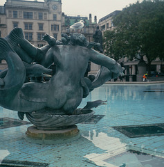 Trafalgar Square (3)