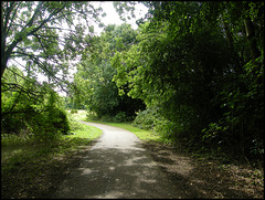 summer path through Grandpont