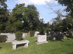 Greenlawn cemetery / Kalos bench