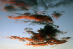 Evening clouds