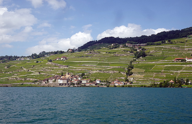 Weinbauregion Lavaux am Genfersee UNESCO Weltkulturerbe