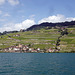 Weinbauregion Lavaux am Genfersee UNESCO Weltkulturerbe