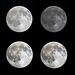 4 views of the full moon