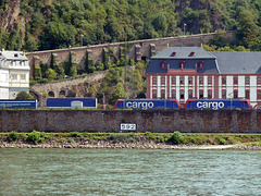 Doppelgespann des Typs Re 484 der SBB CARCO bei Rheinkilometer 592 in Koblenz richtung Schweiz