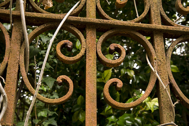 Fence Detail in Luso