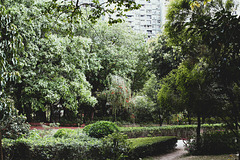 The park near home