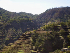 Forest mountainsides of Cape Verde.