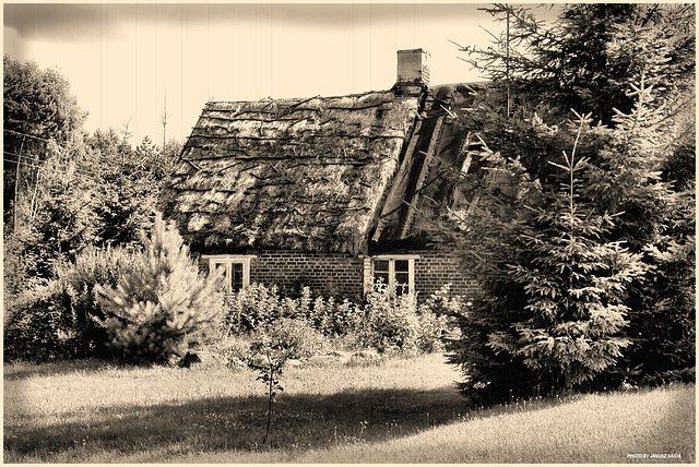 THE OLD COTTAGE
