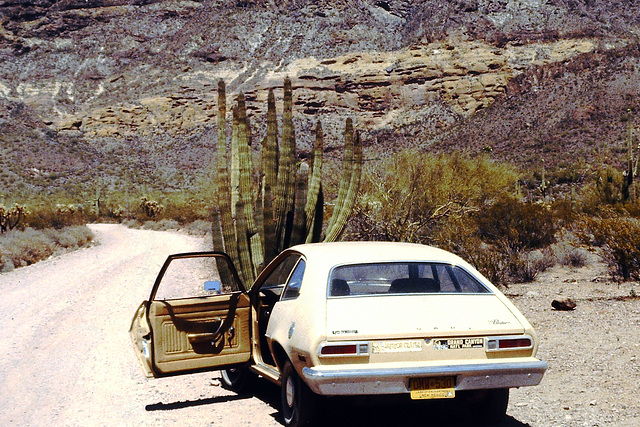 Sonoran Desert and my Ford Pinto