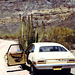 Sonoran Desert and my Ford Pinto
