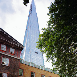 The Shard from Guy's Hospital grounds