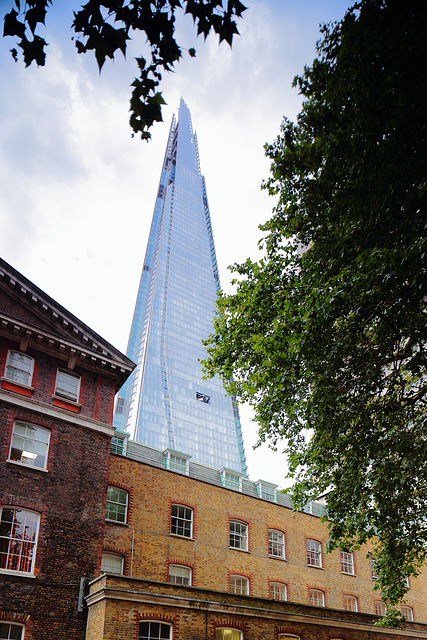 The Shard from Guy's Hospital grounds