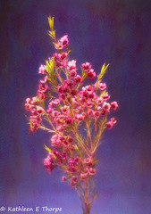 Floral Bouquet 042716-002 - French Kiss Topaz Filter Impressionistic