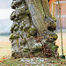 Der Stamm des Habitatbaumes :))  The trunk of the habitat tree :))  Le tronc de l'arbre habitat :))