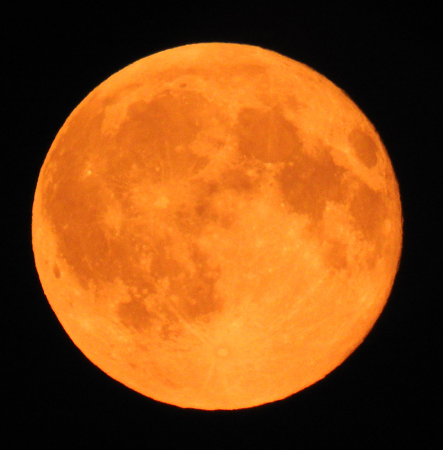 Orange Moon Orange Moon
