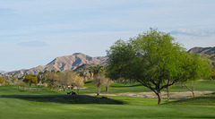 Palm Springs / virus / golf course access (# 0167)