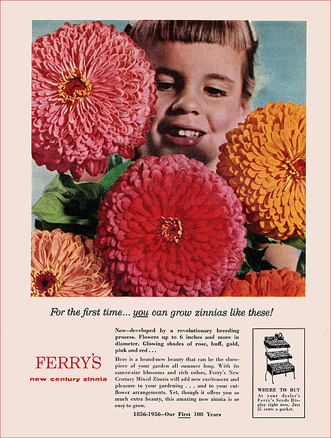 Ferry's Seeds Ad,1956
