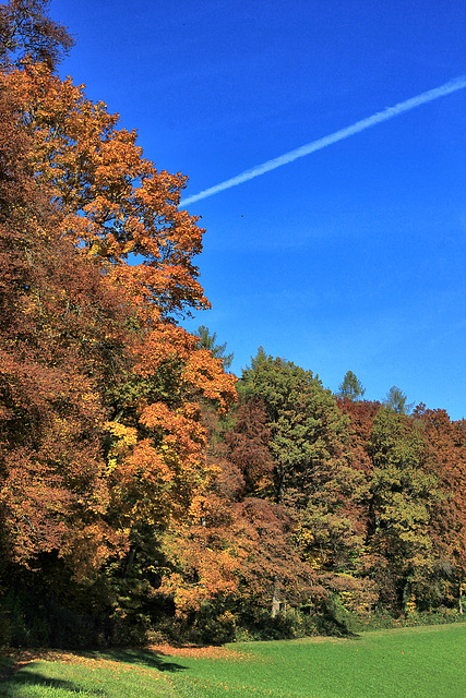Herbst in Oberschwaben