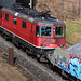 180314 Othmarsingen Re430